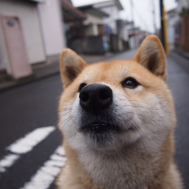 乐鱼体育APP官方下载-中国足球人才流失是否无法避免,中国足球人才储备