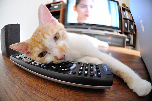 下载乐鱼体育APP-里昂持续调整锋线组合保持进攻多样性,里昂前锋