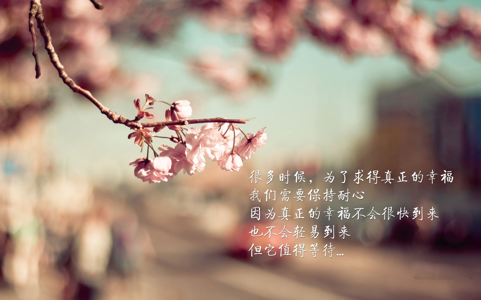 LEYU乐鱼体育官方网站-“马丁·高尔西:未来美洲狮队的防守核心”