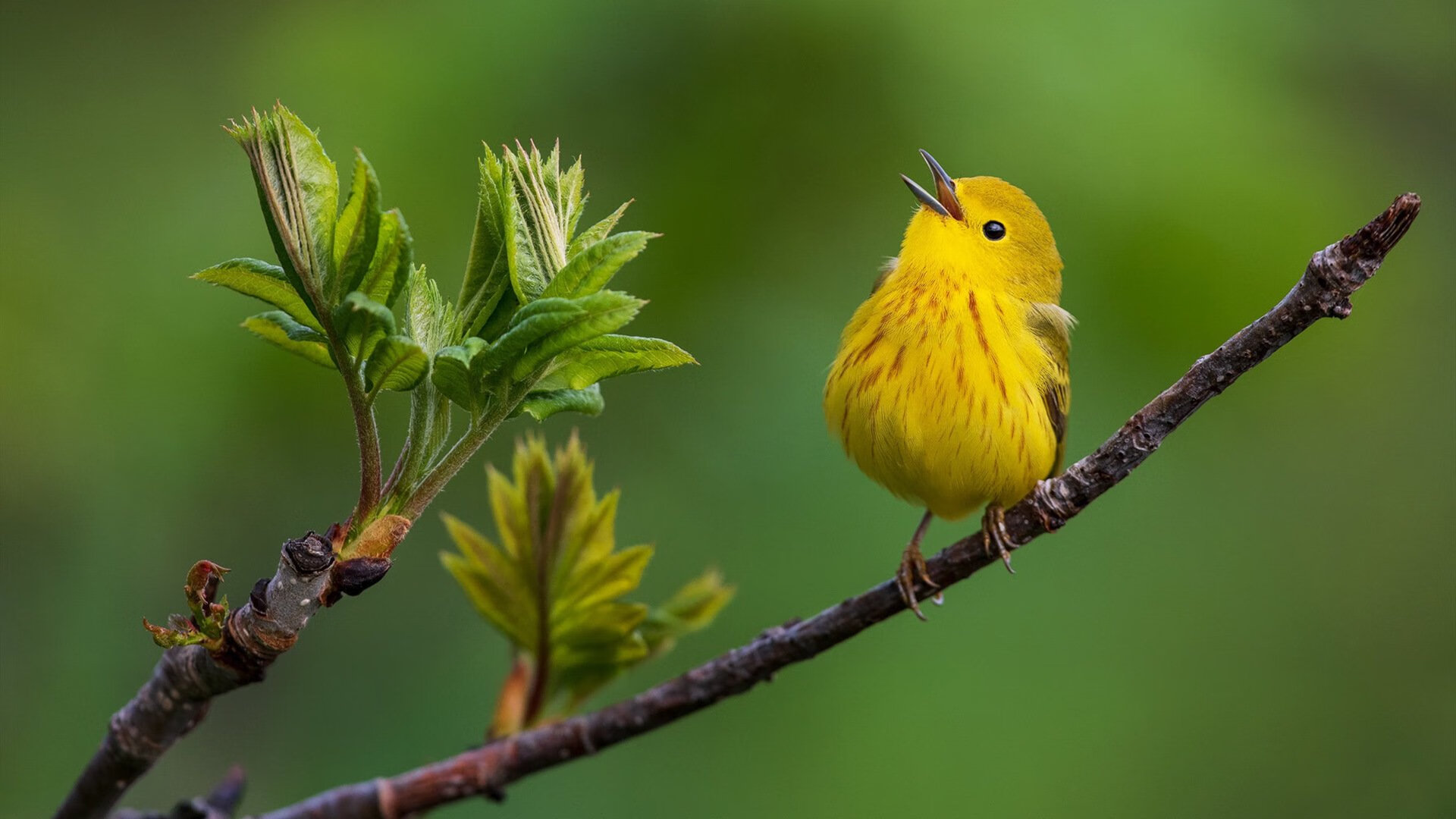乐鱼体育登录-万乐天冲刺阶段表现抢眼,万乐什么意思