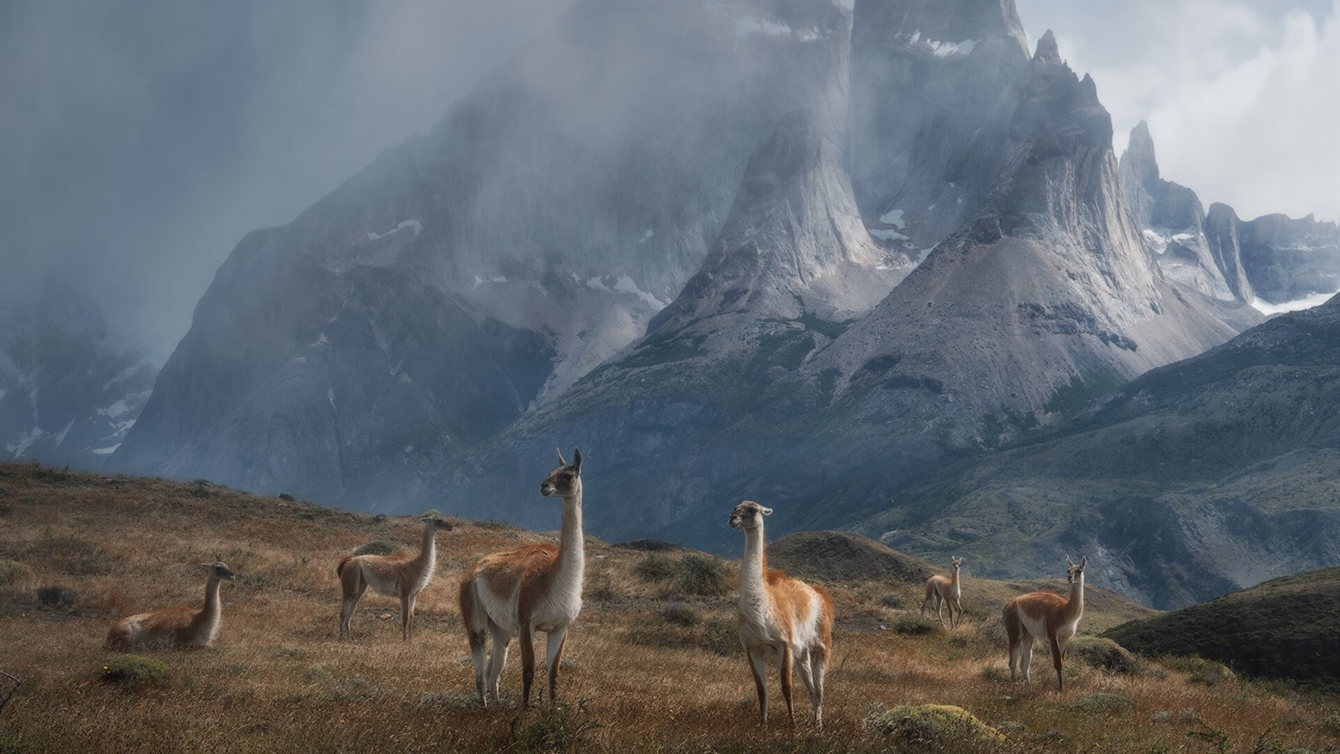 leyu乐鱼-中国女排新主攻连得十分引热议，中国女排新阵容