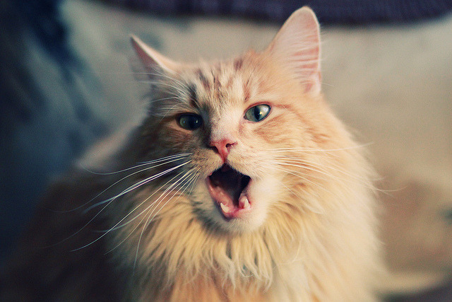 乐鱼体育(中国)官方网站-中国篮球关注青少年身心健康引导全面发展，中国青少年篮球训练指导手册