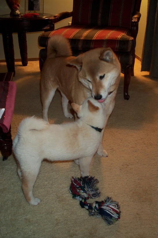 乐鱼体育-中国足球青训活动结合区域特色拓展广度，我国足球青训发展现状