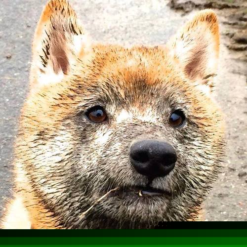 leyu乐鱼在线登录入口-哈登突破分球助攻队友轻松得分,哈登带球突破