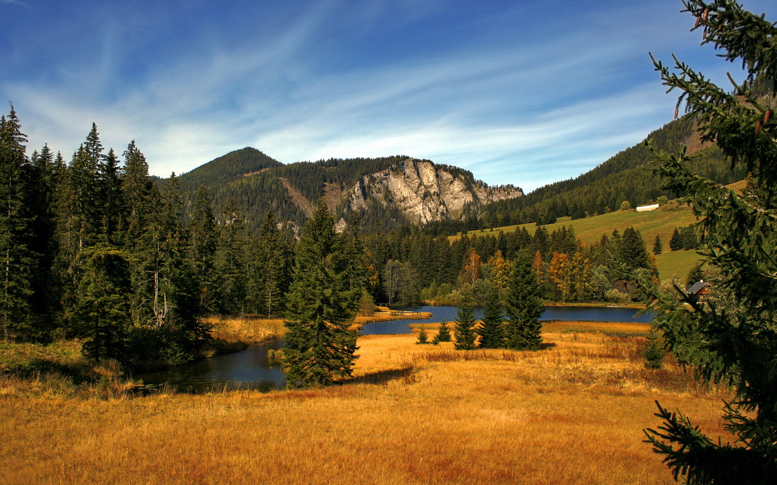 乐鱼体育-巴特尔通过强硬防守和精准抢断,增强袋鼠队防线的稳定性,nba球员巴特尔